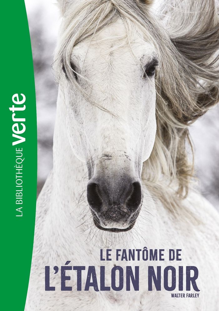 Couverture du livre « L'ETALON NOIR - T16 - L'ETALON NOIR NED 16 - LE FANTOME DE L'ETALON NOIR » de Walter Farley, librairie Les Contes Infusés à Corte