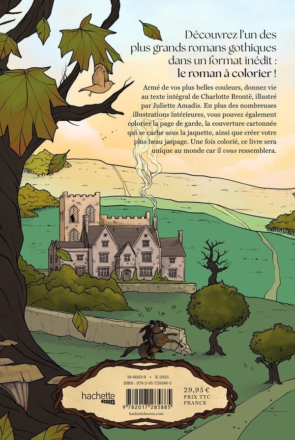 Quatrième de couverture de « Jane Eyre : le roman à colorier »