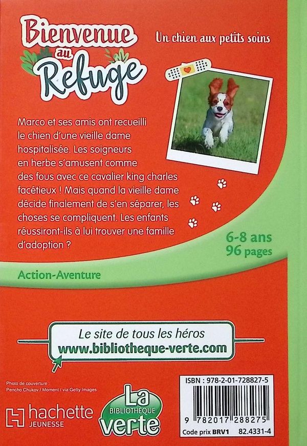 Quatrième de couverture de « Un chien aux petits soins »