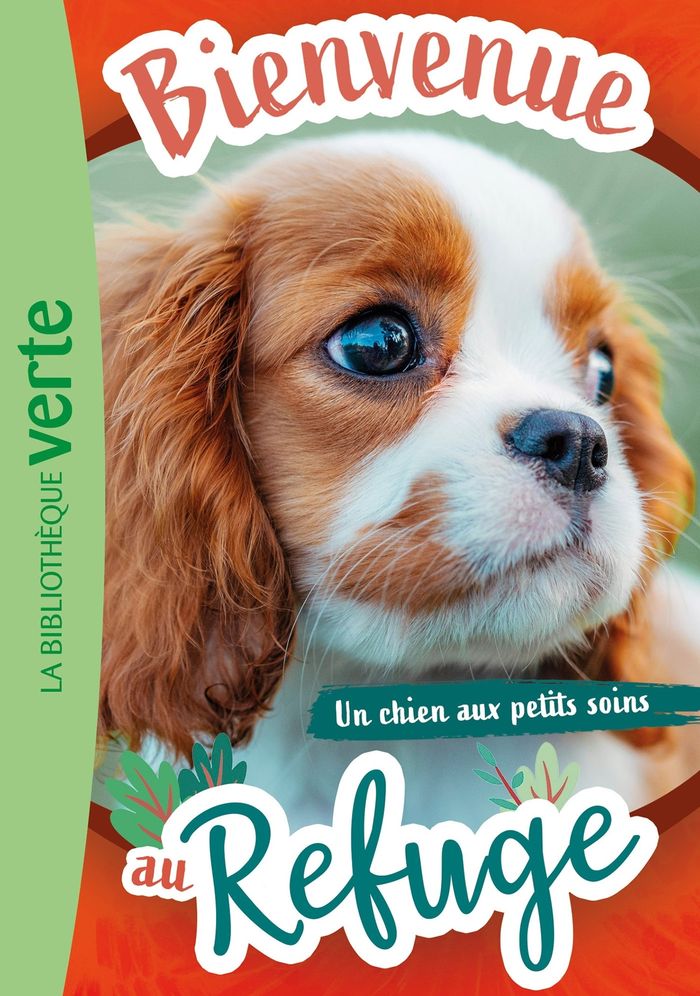 Couverture du livre « Un chien aux petits soins » de Collectif, librairie Les Contes Infusés à Corte