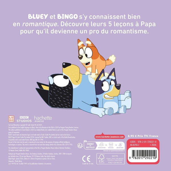 Quatrième de couverture de « Tout sur le romantique avec Bluey et Bingo »