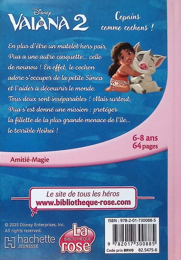 Quatrième de couverture de « Copains comme cochons ! »