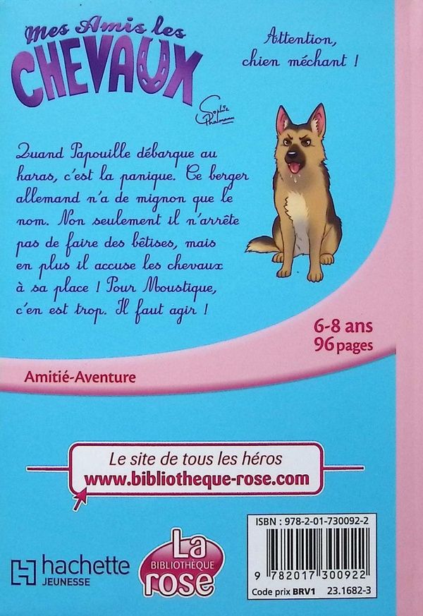 Quatrième de couverture de « Attention, chien méchant ! »