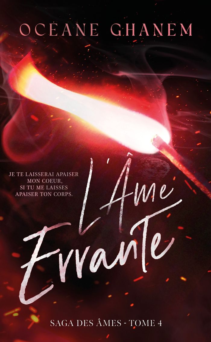 Couverture du livre « LA SAGA DES AMES - L'AME ERRANTE - SAGA DES AMES TOME 4 » de Oceane Ghanem, librairie Les Contes Infusés à Corte