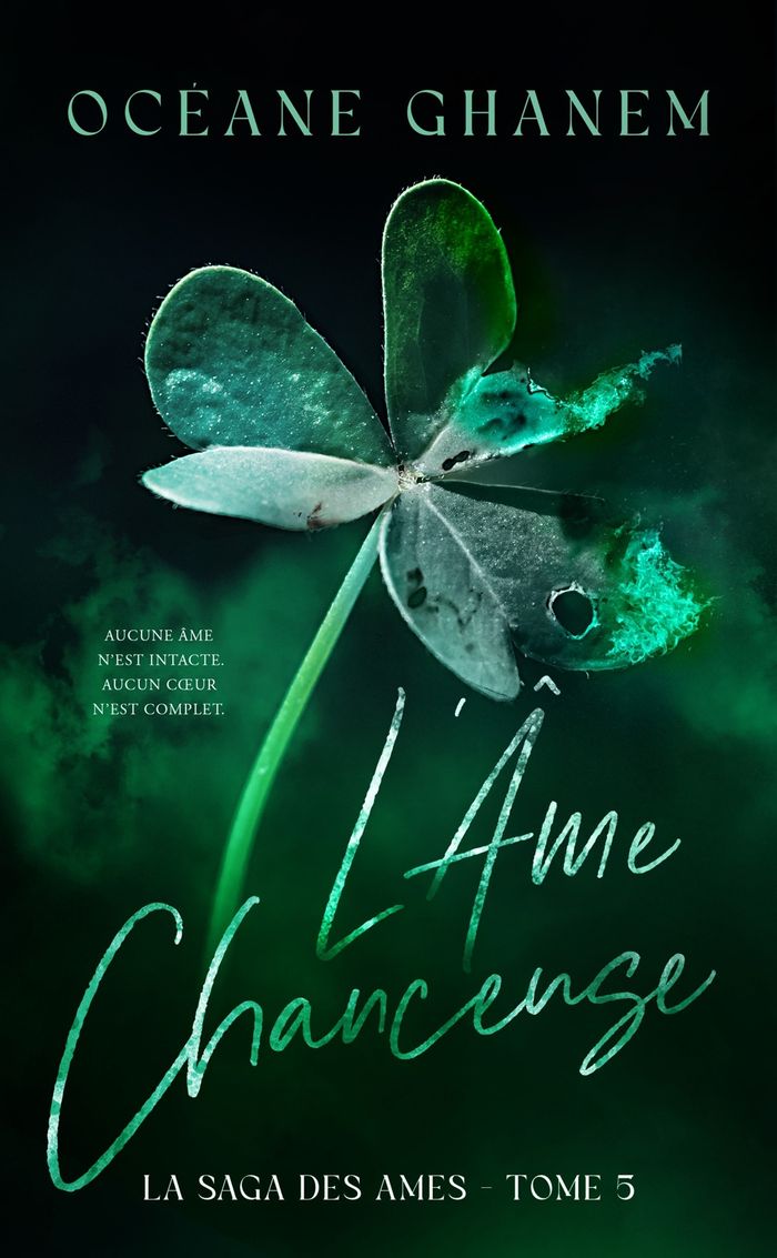 Couverture du livre « LA SAGA DES AMES - L'AME CHANCEUSE - SAGA DES AMES TOME 5 - LE TROISIEME CYCLE DE LA SAGA DES AMES » de Oceane Ghanem, librairie Les Contes Infusés à Corte