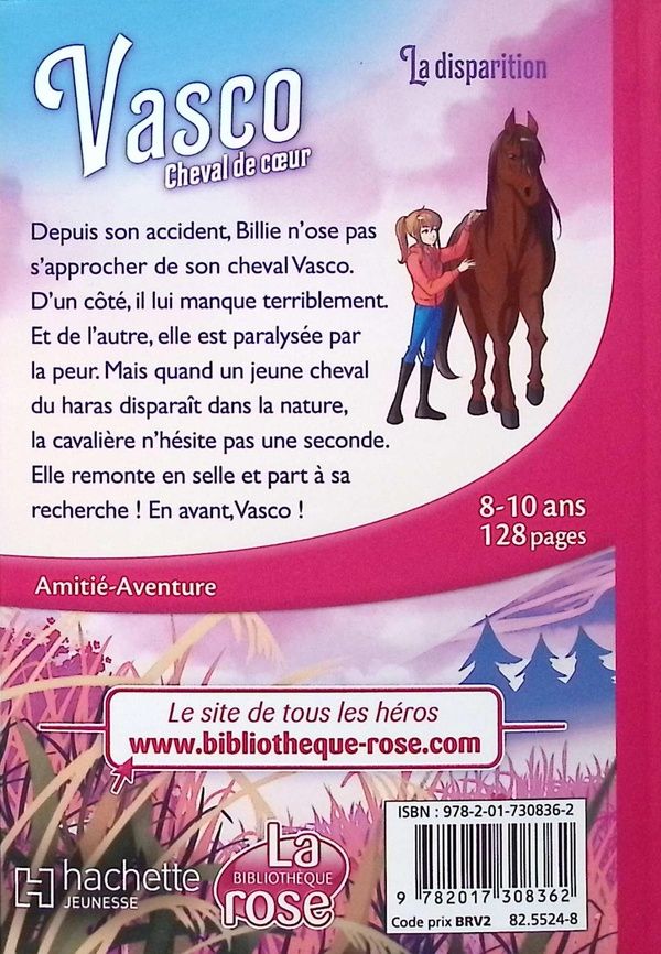 Quatrième de couverture de « La disparition »