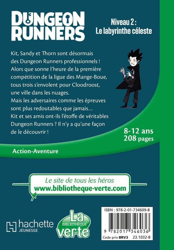 Quatrième de couverture de « Le labyrinthe céleste »
