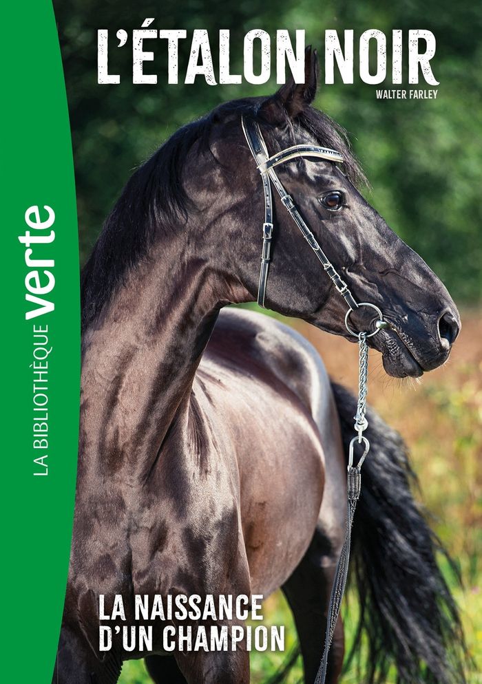 Couverture du livre « L'ETALON NOIR (NOUVELLE EDITION), TOME 19 - LA NAISSANCE D'UN CHAMPION » de Walter Farley, librairie Les Contes Infusés à Corte