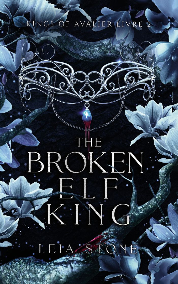 Couverture du livre « Kings of Avalier » de Leia Stone,, librairie Les Contes Infusés à Corte