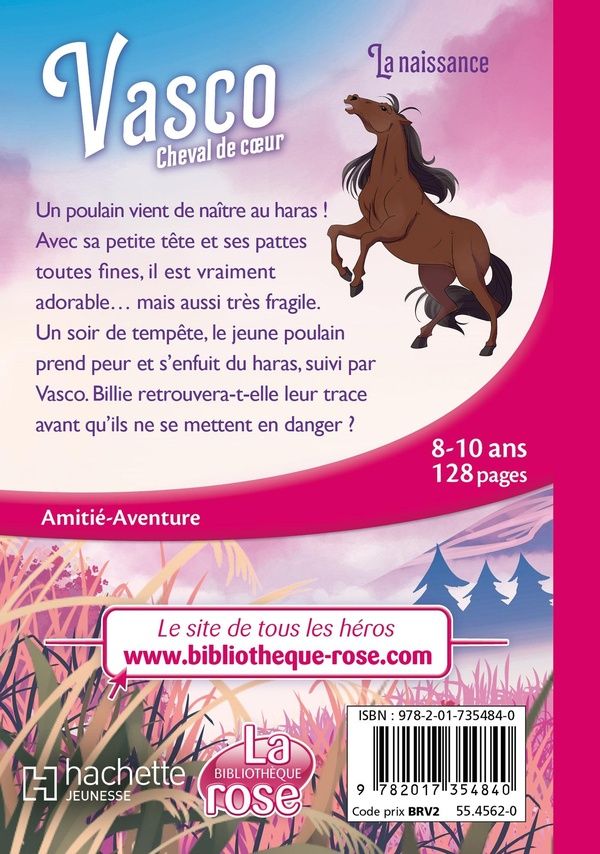 Quatrième de couverture de « La naissance »