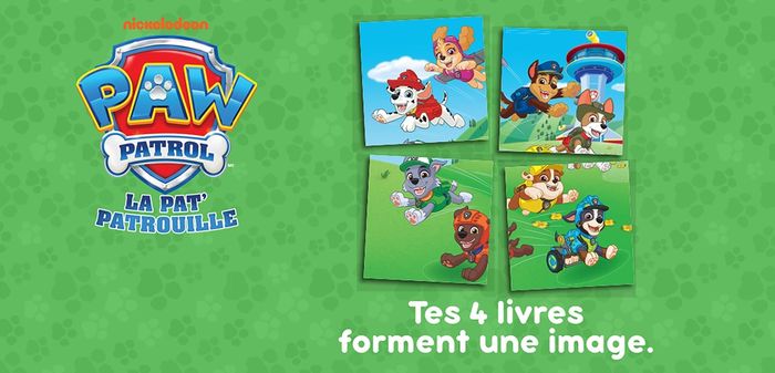 Quatrième de couverture de « Paw patrol, la Pat' patrouille : missions exploration »
