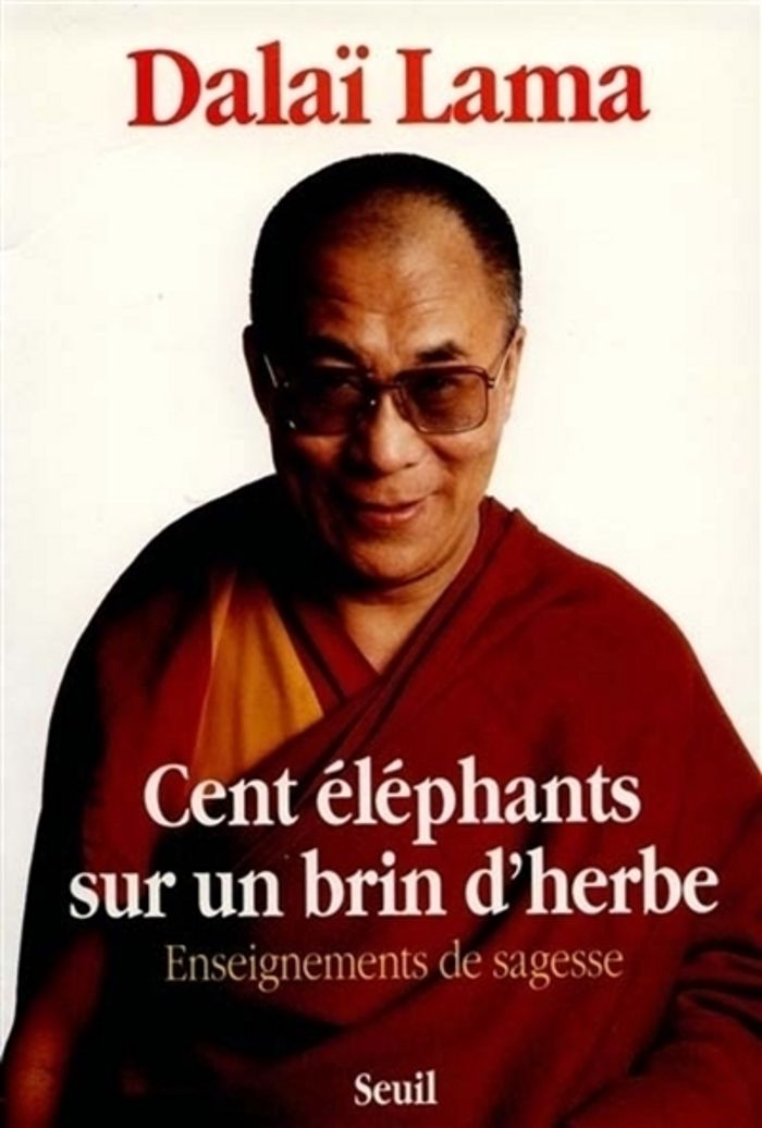 Couverture du livre « CENT ELEPHANTS SUR UN BRIN D'HERBE. ENSEIGNEMENTS DE SAGESSE » de Dalai-Lama, librairie Les Contes Infusés à Corte