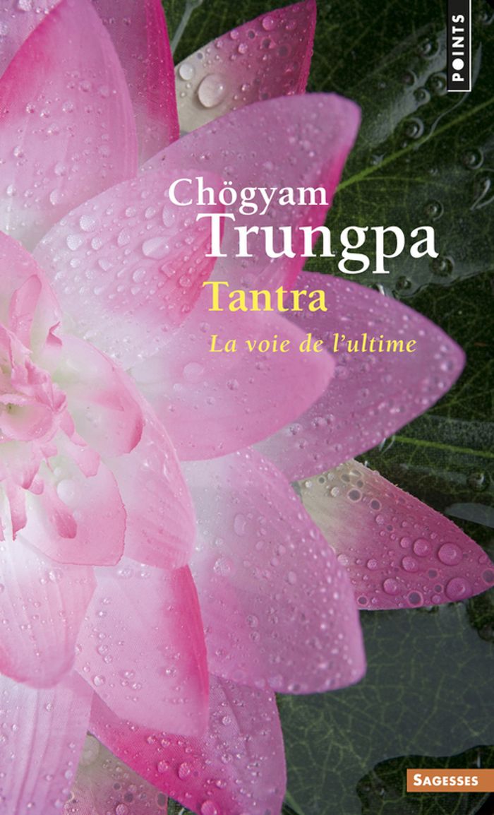 Couverture du livre « TANTRA - LA VOIE DE L'ULTIME », librairie Les Contes Infusés à Corte