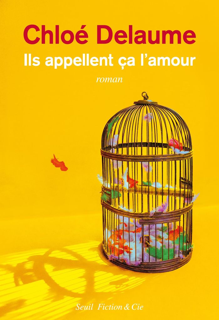 Couverture du livre « Ils appellent ça l'amour : roman » de Chloé Delaume, librairie Les Contes Infusés à Corte