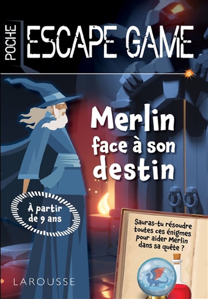 Couverture du livre « Merlin face à son destin » de Valérie Cluzel, librairie Les Contes Infusés à Corte