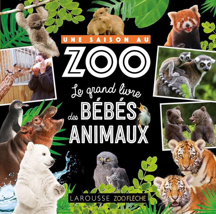 Couverture du livre « Le grand livre des bébés animaux » de Aurore Meyer, librairie Les Contes Infusés à Corte