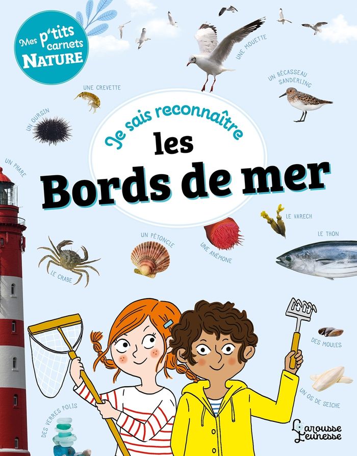 Couverture du livre « Je sais reconnaître les bords de mer » de Sandra Lebrun, librairie Les Contes Infusés à Corte