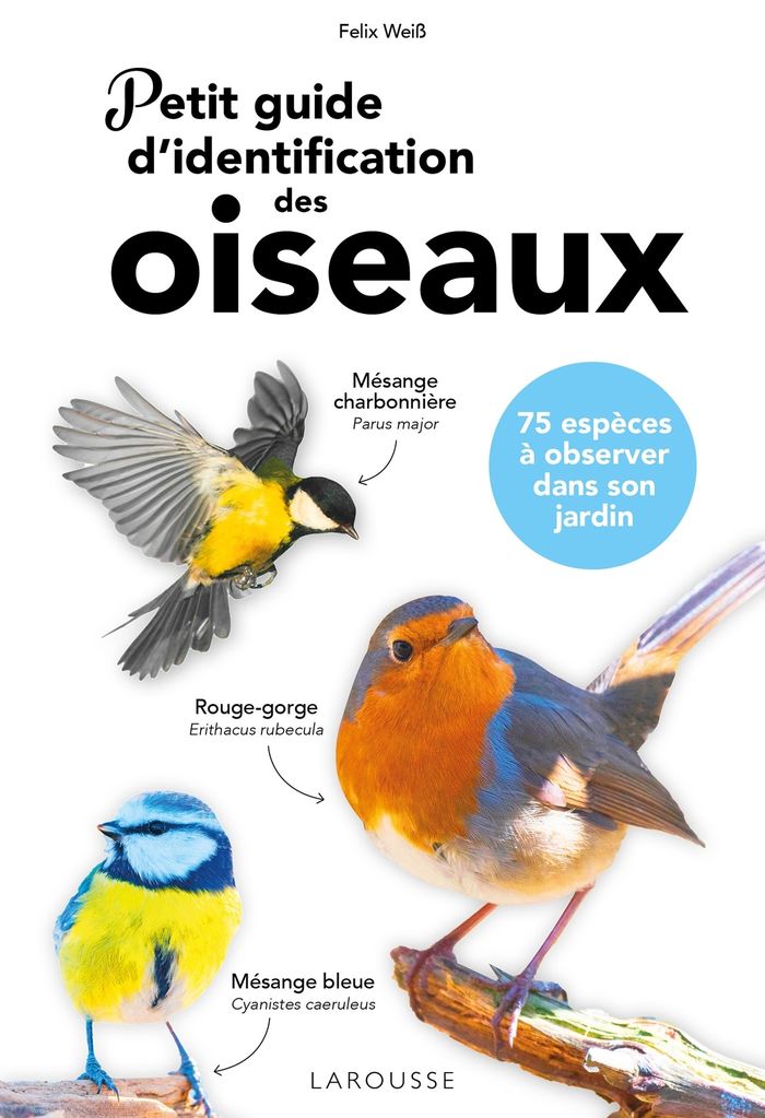 Couverture du livre « Petit guide d'identification des oiseaux : 75 espèces à observer dans son jardin », librairie Les Contes Infusés à Corte