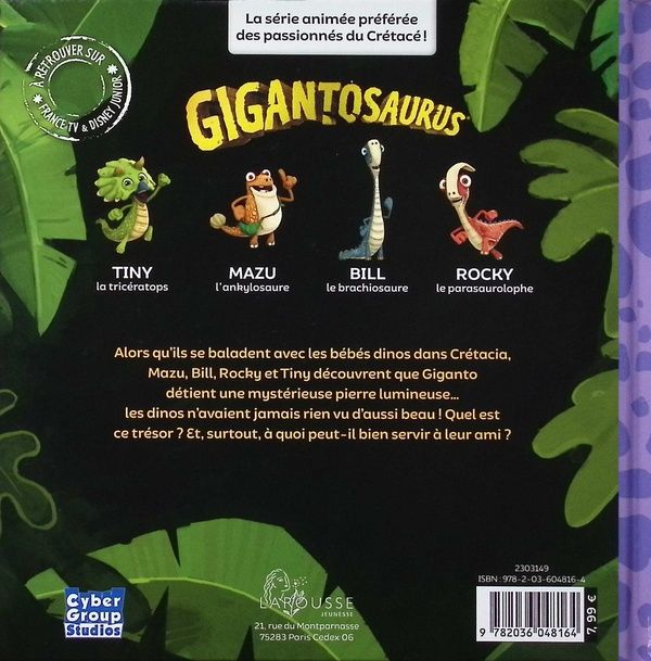 Quatrième de couverture de « La pierre magique de Giganto »