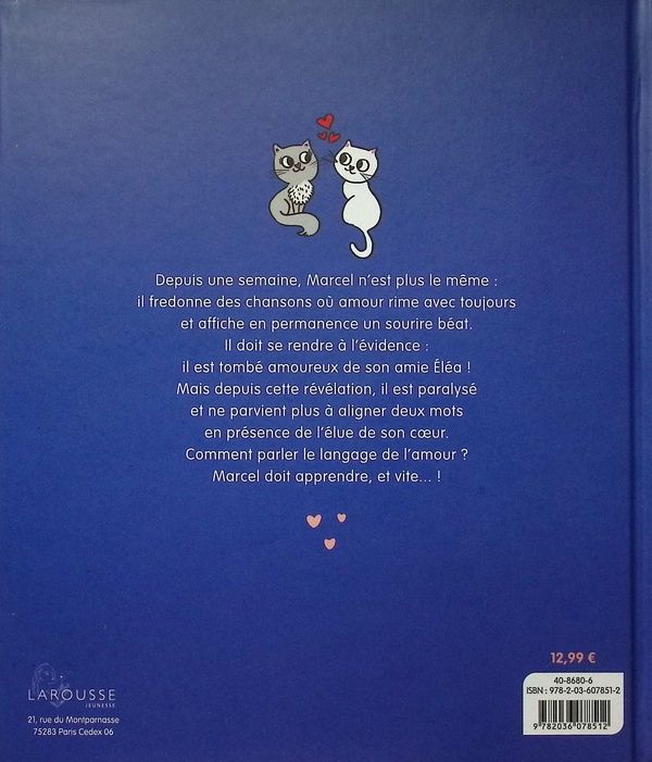 Quatrième de couverture de « Salut les amoureux »