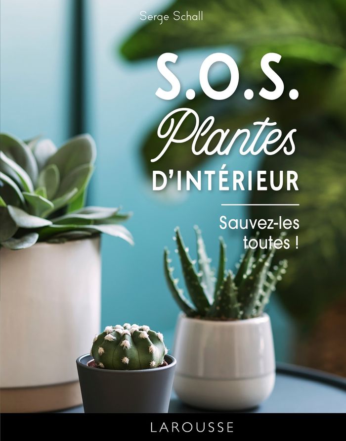 Couverture du livre « SOS plantes d'intérieur : sauvez-les toutes ! », librairie Les Contes Infusés à Corte