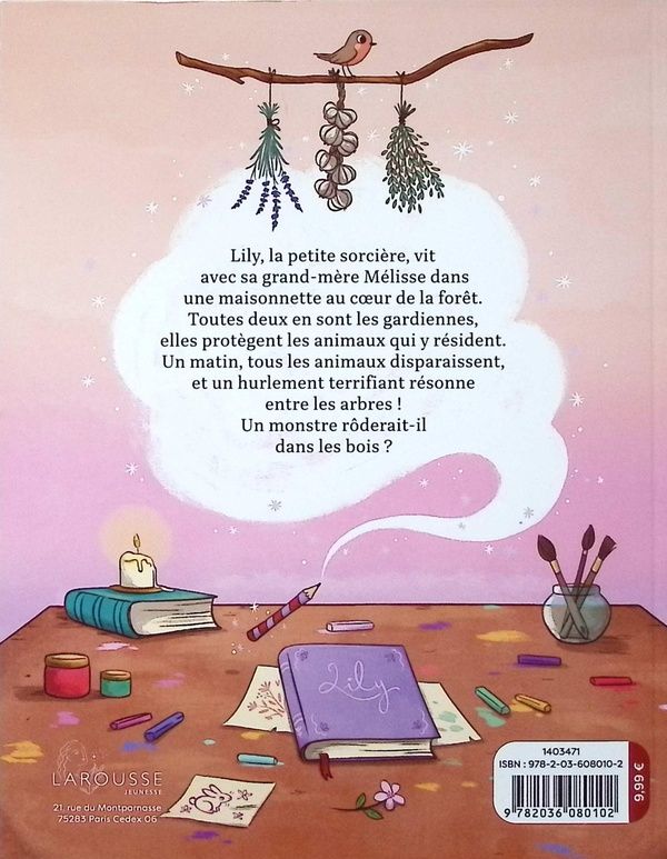 Quatrième de couverture de « Lily la petite sorcière - La gardienne de la forêt »