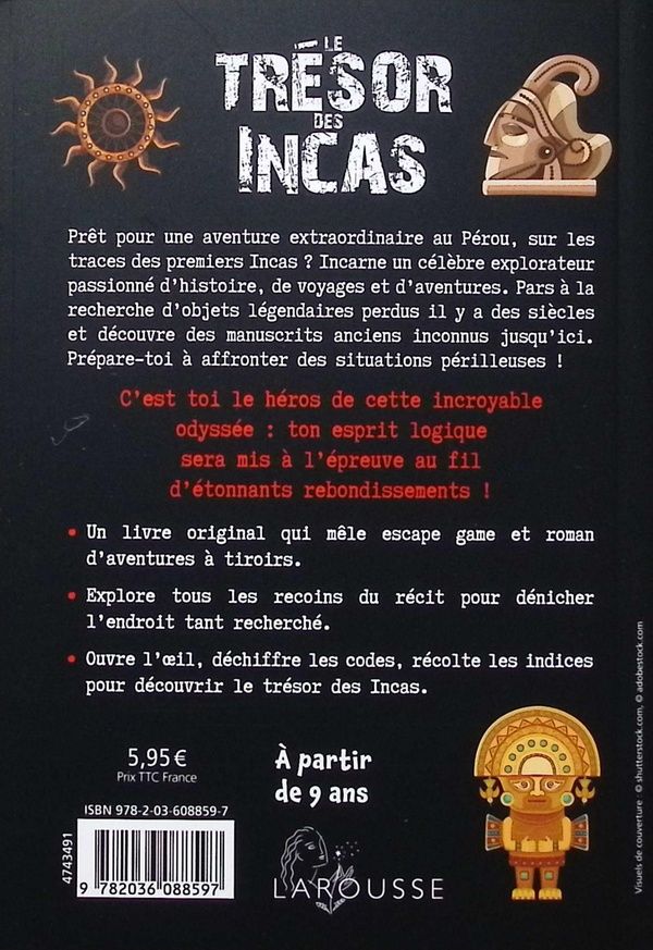 Quatrième de couverture de « Le Trésor des Incas »