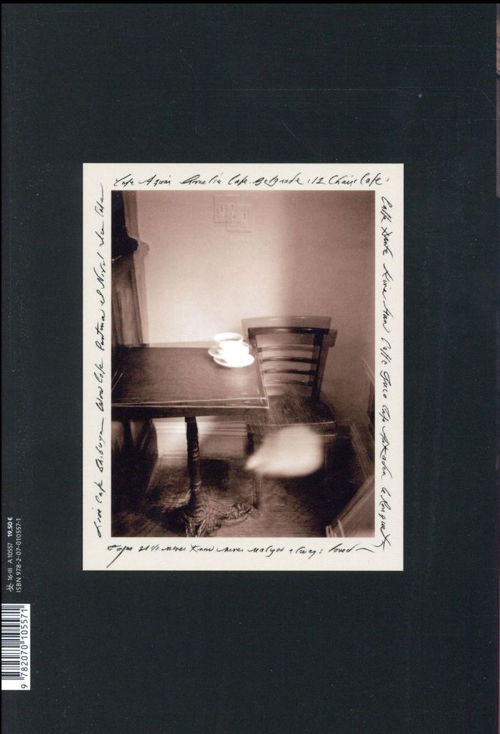 Quatrième de couverture de « M Train »