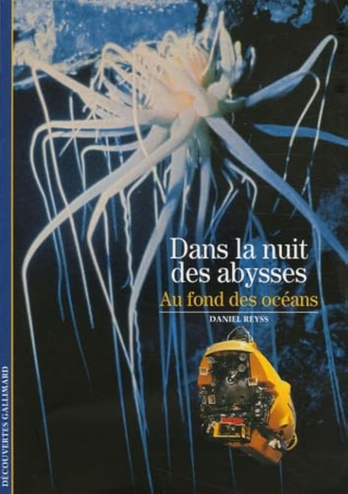Couverture du livre « DANS LA NUIT DES ABYSSES - AU FOND DES OCEANS » de Daniel Reyss, librairie Les Contes Infusés à Corte