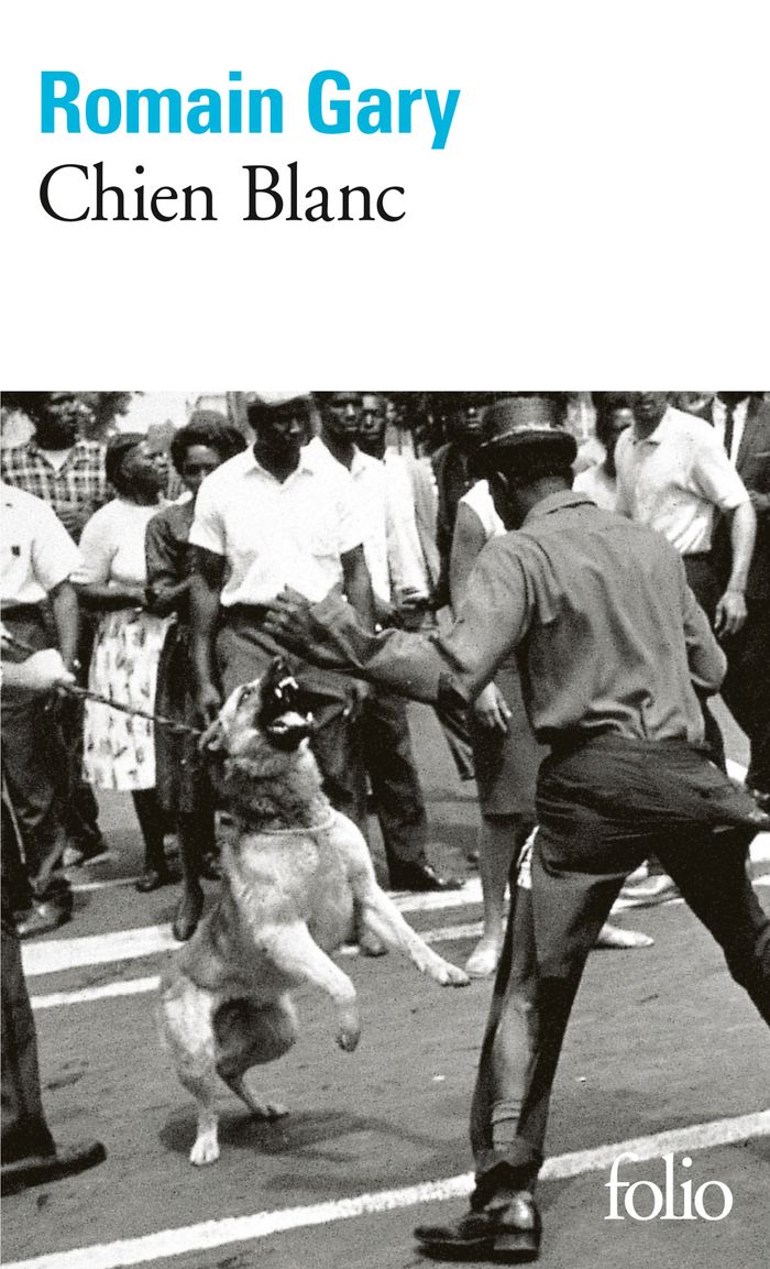 Couverture du livre « CHIEN BLANC », librairie Les Contes Infusés à Corte