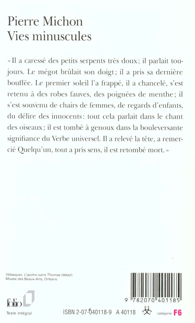 Quatrième de couverture de « VIES MINUSCULES »