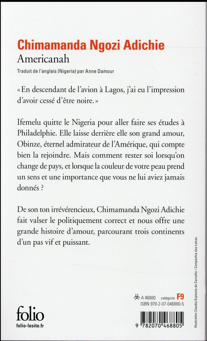 Quatrième de couverture de « AMERICANAH »