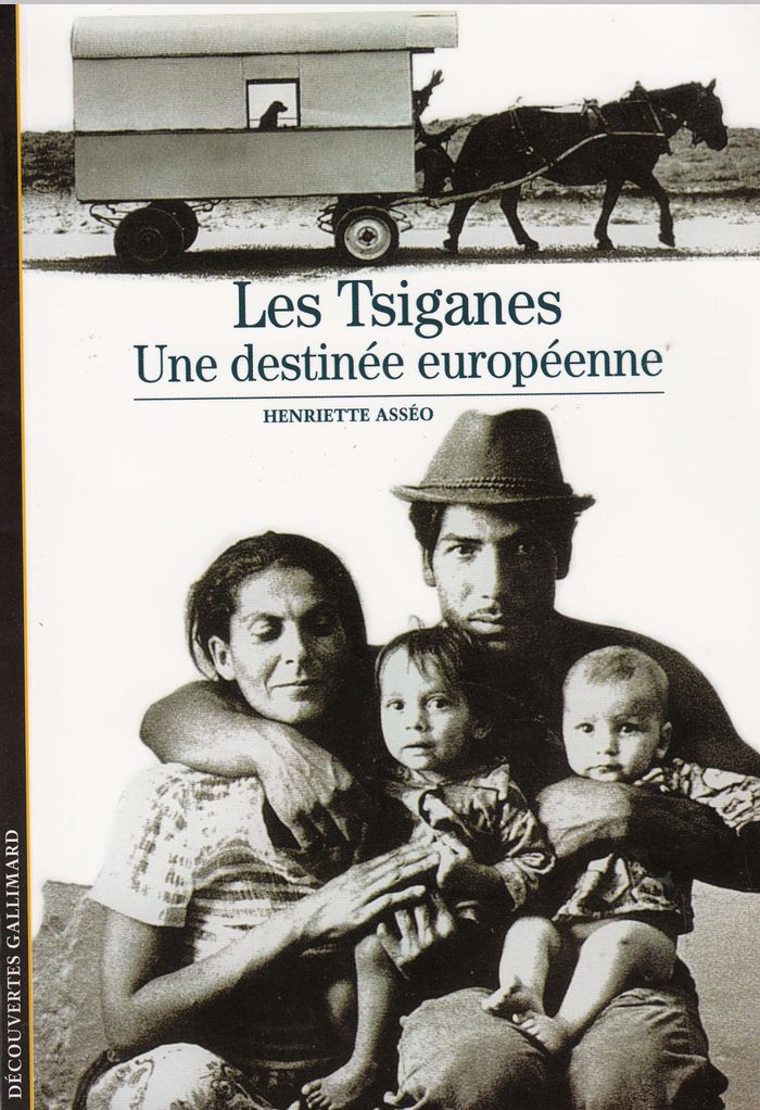 Couverture du livre « LES TSIGANES - UNE DESTINEE EUROPEENNE » de Henriette Asseo, librairie Les Contes Infusés à Corte