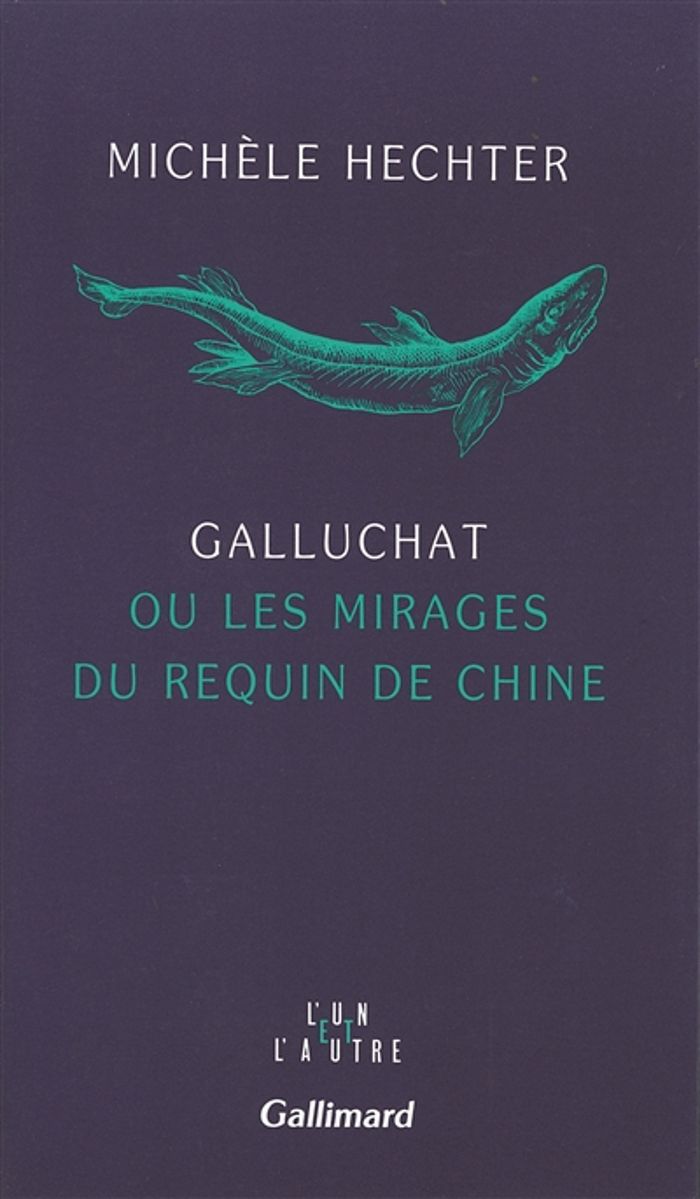 Couverture du livre « GALLUCHAT OU LES MIRAGES DU REQUIN DE CHINE » de Michele Hechter, librairie Les Contes Infusés à Corte