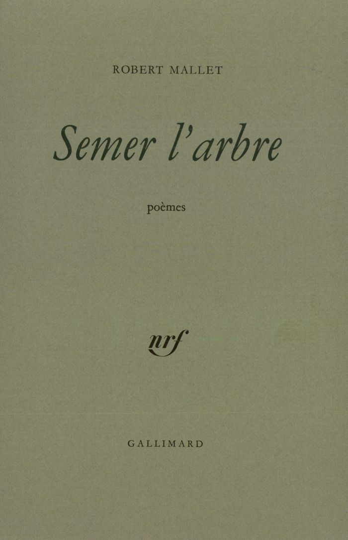 Couverture du livre « SEMER L'ARBRE » de Robert Mallet, librairie Les Contes Infusés à Corte