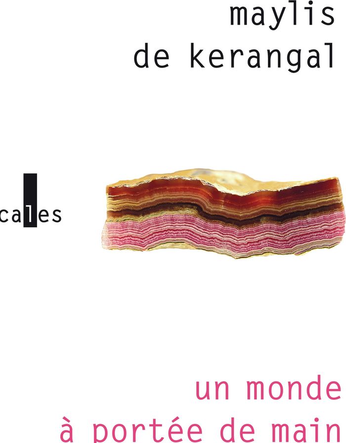 Couverture du livre « Un monde à portée de main : roman » de Maylis de Kerangal, librairie Les Contes Infusés à Corte