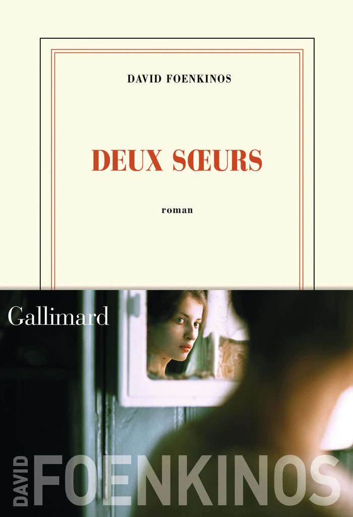 Couverture du livre « Deux soeurs : roman » de David Foenkinos, librairie Les Contes Infusés à Corte