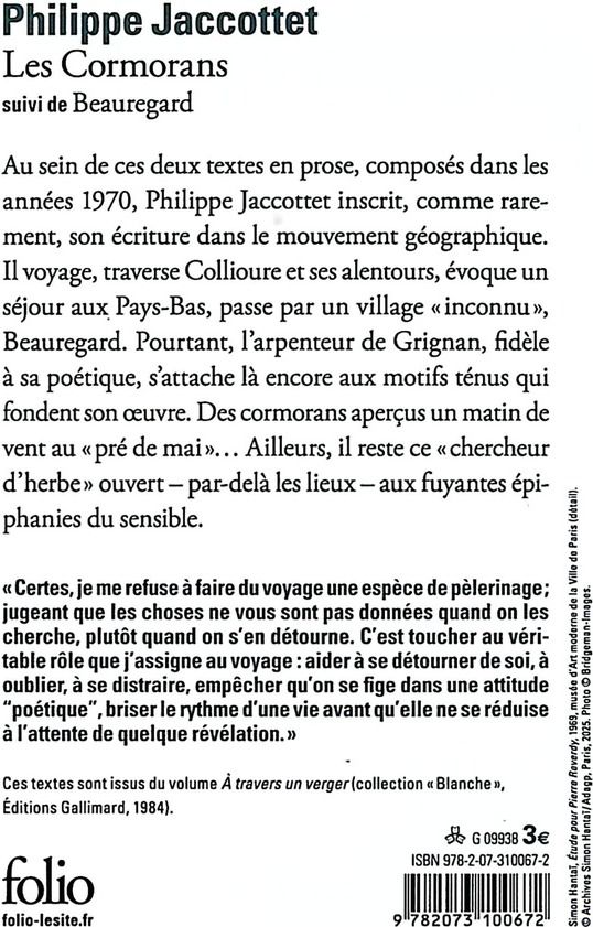 Quatrième de couverture de « Les cormorans »