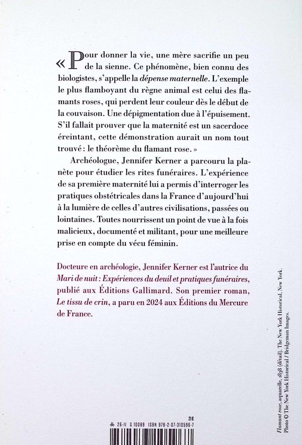 Quatrième de couverture de « Le théorème du flamant rose : une socio-archéologie de la maternité »
