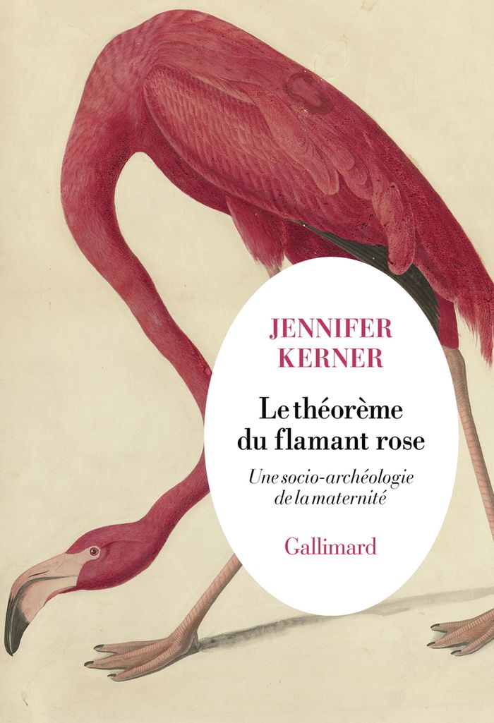 Couverture du livre « Le théorème du flamant rose : une socio-archéologie de la maternité », librairie Les Contes Infusés à Corte
