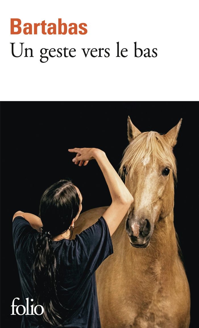 Couverture du livre « UN GESTE VERS LE BAS » de Bartabas, librairie Les Contes Infusés à Corte