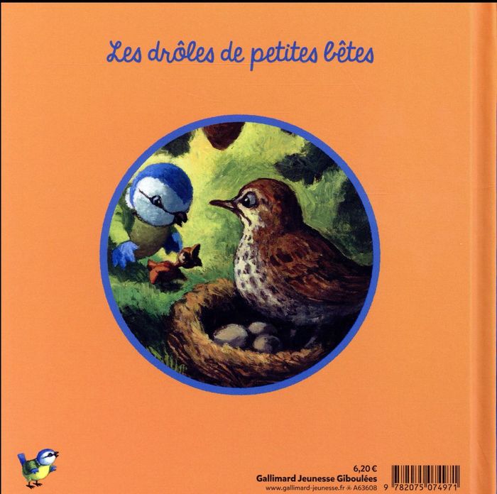 Quatrième de couverture de « Solange la mésange »