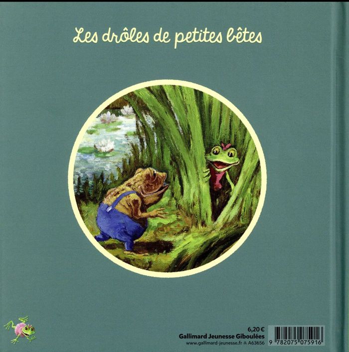Quatrième de couverture de « Juliette la rainette »