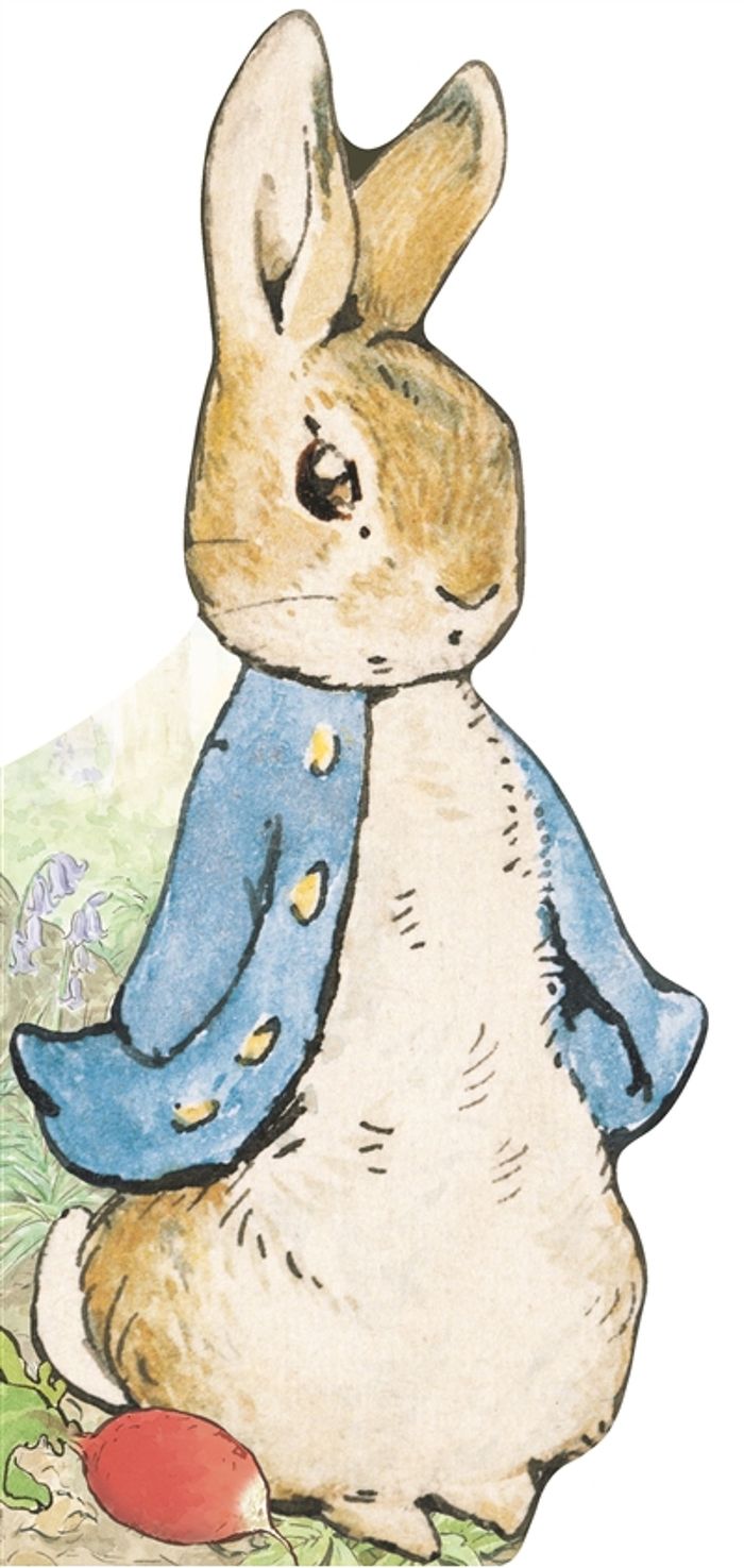 Couverture du livre « Bonjour Pierre Lapin ! » de [d'après Beatrix Potter], librairie Les Contes Infusés à Corte