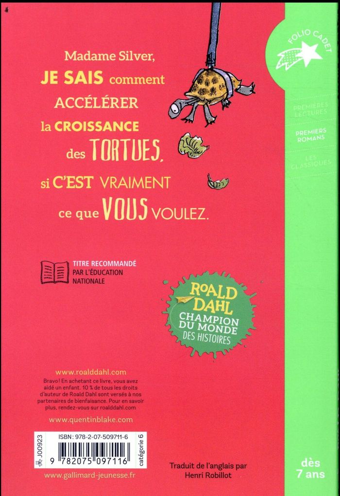 Quatrième de couverture de « Un amour de tortue »