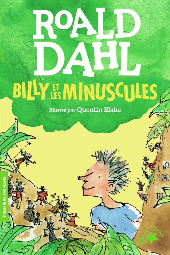 Couverture du livre « Billy et les Minuscules » de Roald Dahl, librairie Les Contes Infusés à Corte