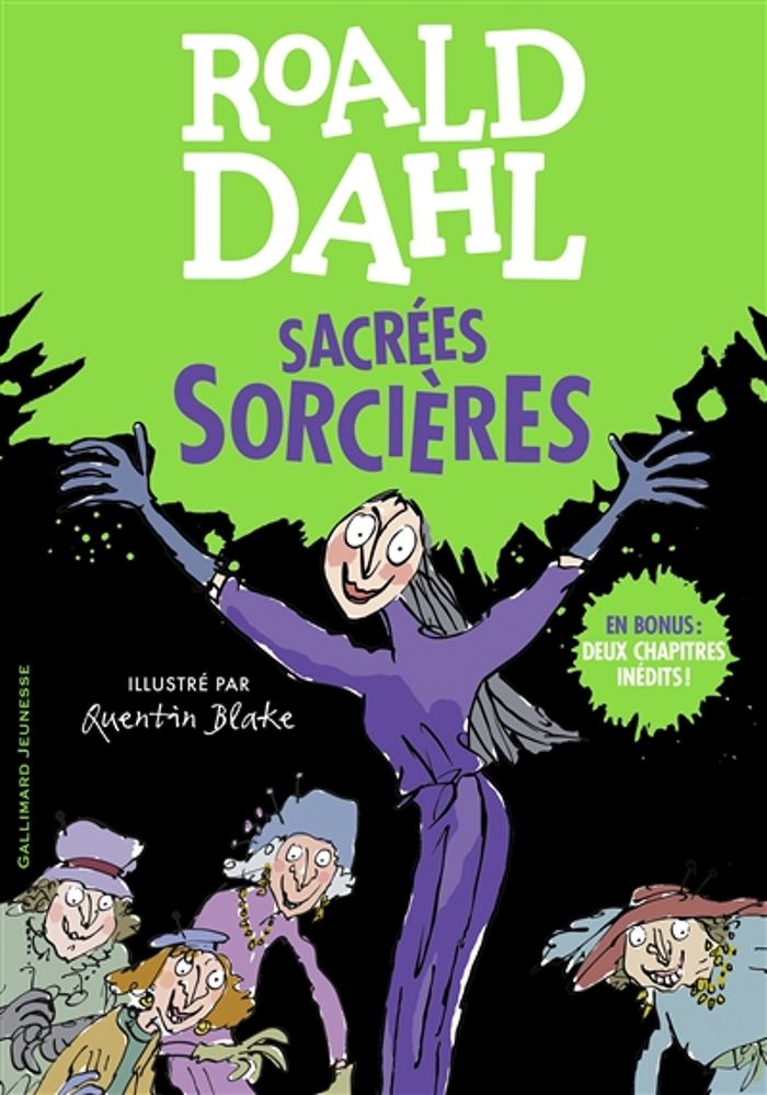 Couverture du livre « Sacrées sorcières » de Roald Dahl, librairie Les Contes Infusés à Corte