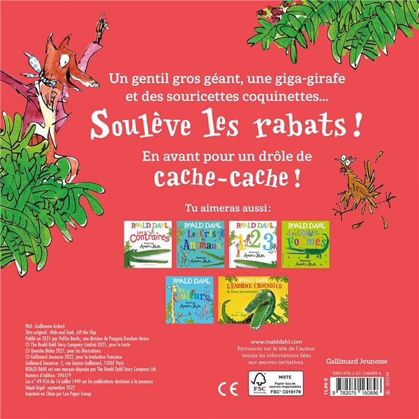 Quatrième de couverture de « Drôle de cache-cache »
