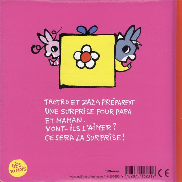 Quatrième de couverture de « Trotro et Zaza préparent une surprise »