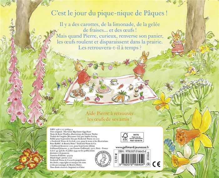 Quatrième de couverture de « Une surprenante chasse aux oeufs »